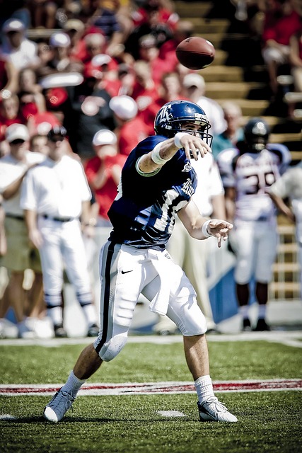 新的起伏 新的起伏