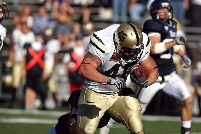 而是以其个 而是以其个